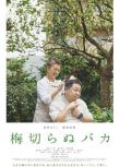 2021日本電影《不砍梅樹的傻瓜/討厭我長大》加賀麻理子 日語中字 盒裝1碟
